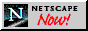 Netscape NOW!